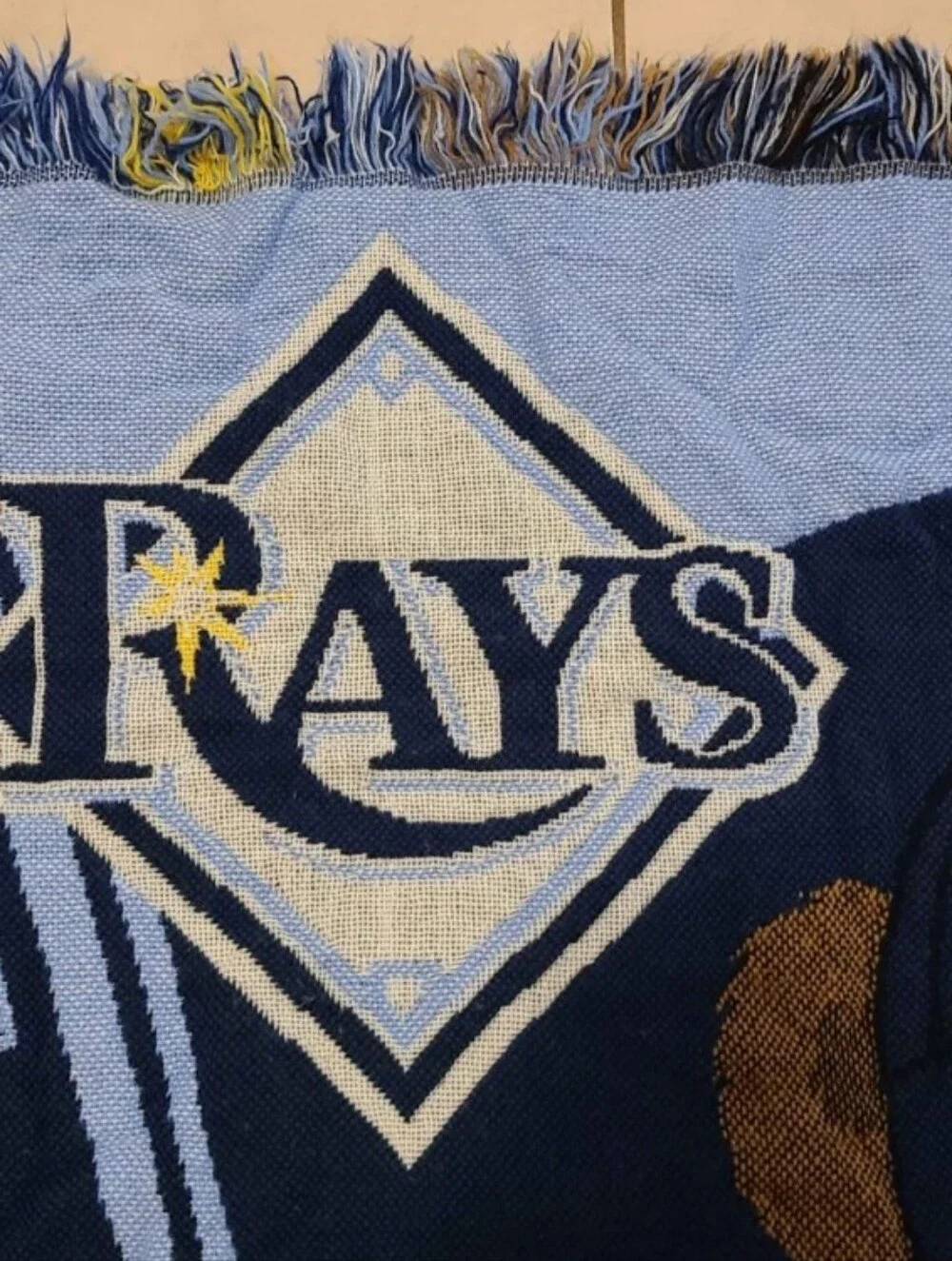 Blanket Tampa Bay Rays Teddy Bear Throw Blanket Navy Light Blue